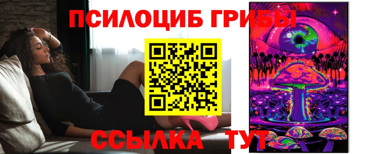 Галлюциногенные грибы Psilocybe  Вход с VPN  закладка  Новый Уренгой 