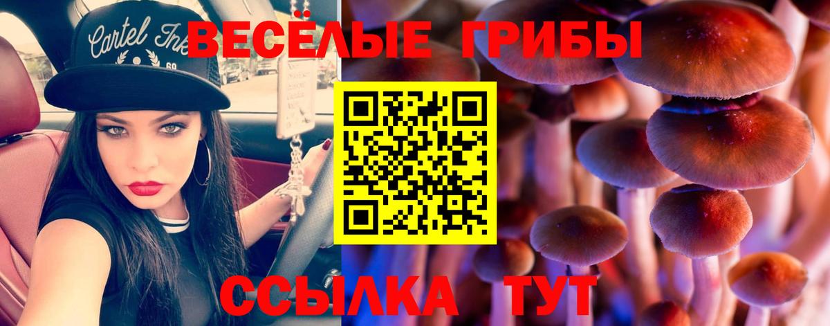 Галлюциногенные грибы ЛСД Новый Уренгой